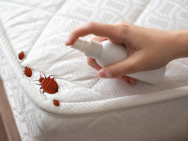 Emergency Pest Control in Nicholasville, KY